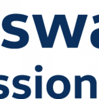 logo bleu volkswagen professionnels